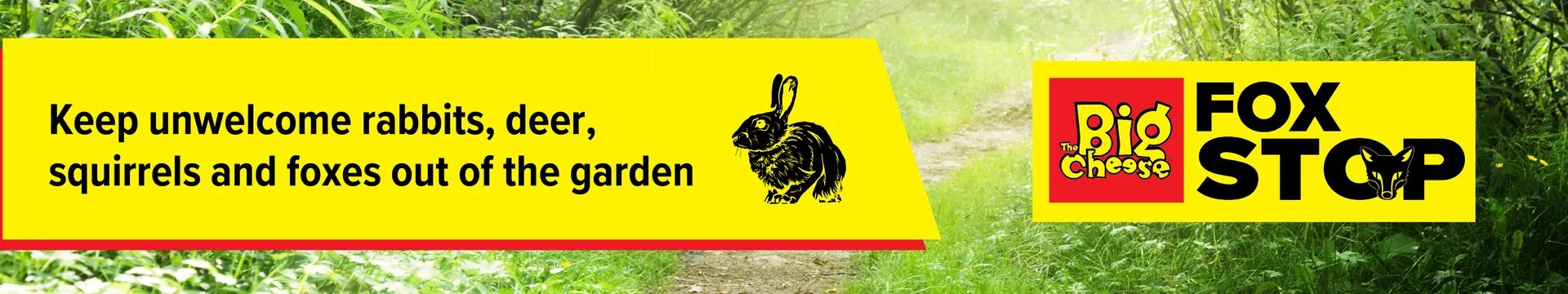 banner_category_TBC Fox Stop_01_1920x360-opt